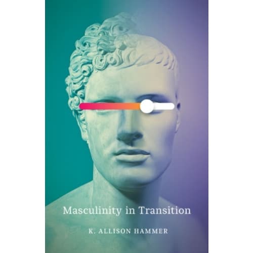 Masculinity in Transition (häftad, eng)