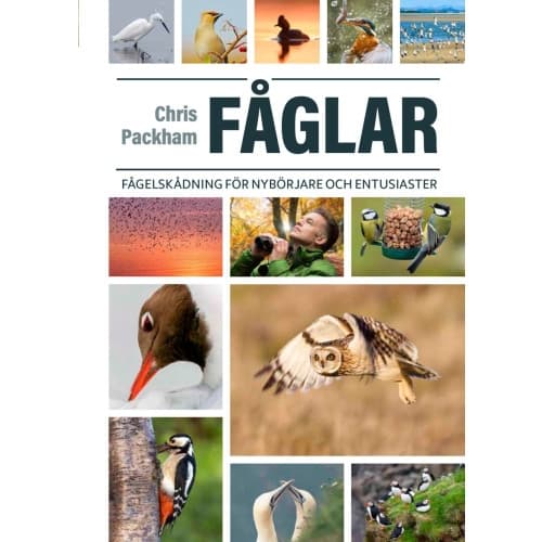 Fåglar : fågelskådning för nybörjare och entusiaster (inbunden)