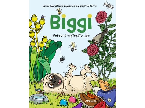 Biggi - Verdens vigtigste job | Anna Holmström Degermann