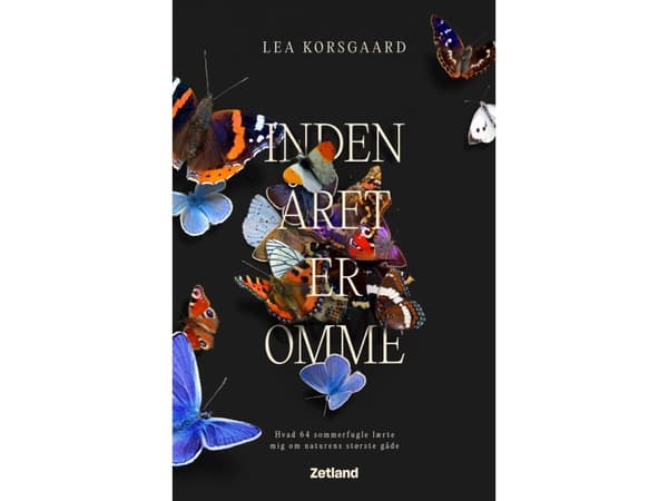 Inden året er omme | Lea Korsgaard | Språk: Dansk
