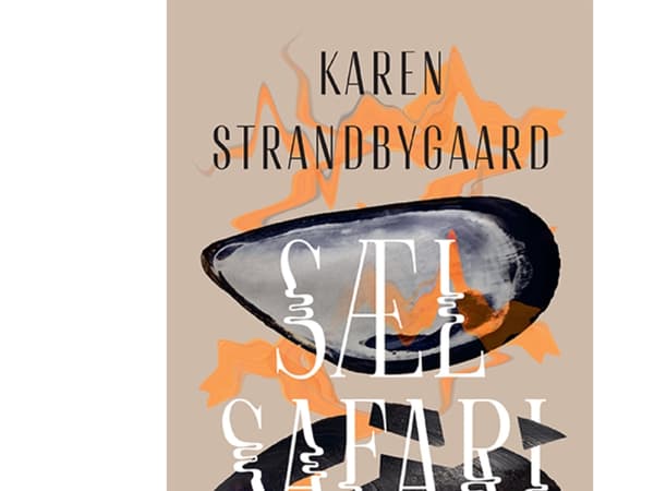Sælsafari | Karen Strandbygaard
