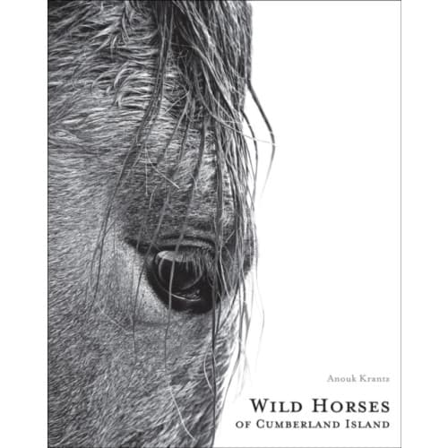 Wild Horses of Cumberland Island (inbunden, eng)