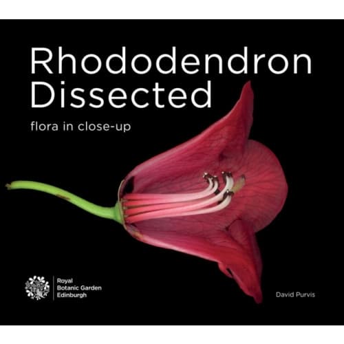 Rhododendron Dissected (häftad, eng)