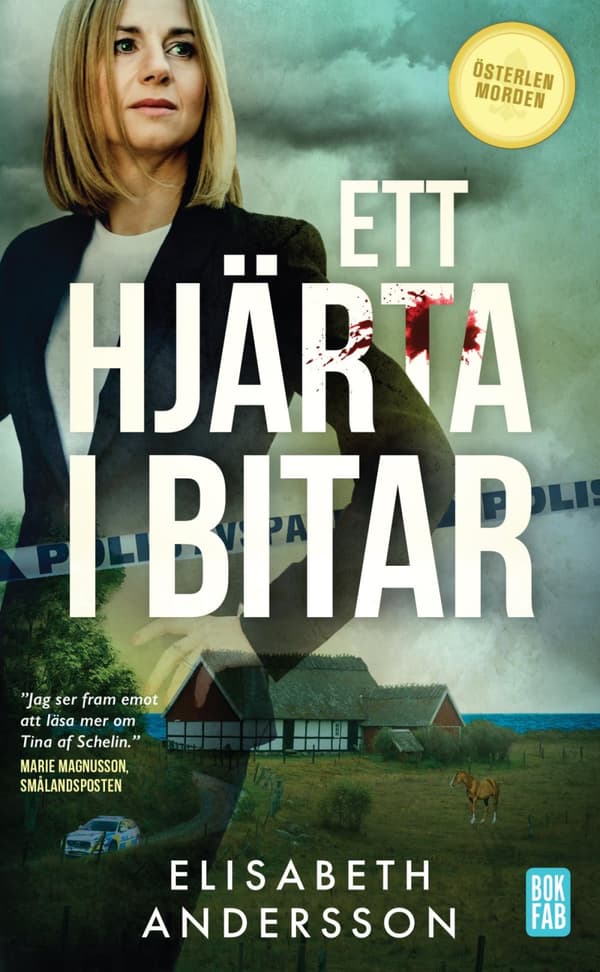 Ett Hjärta I Bitar (Bok)