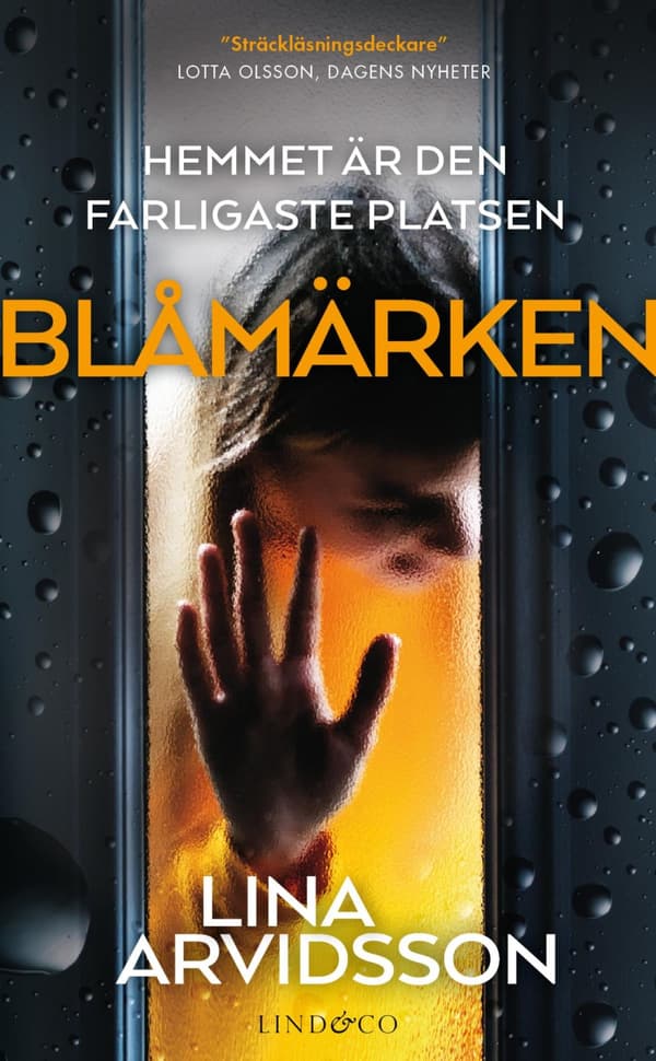 Blåmärken (Bok)