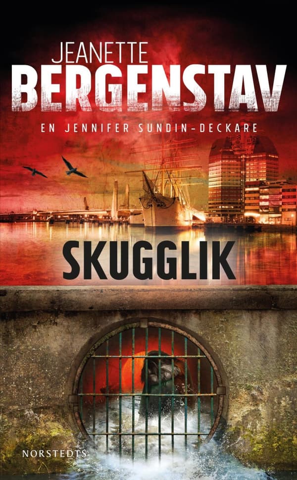 Skugglik (Bok)