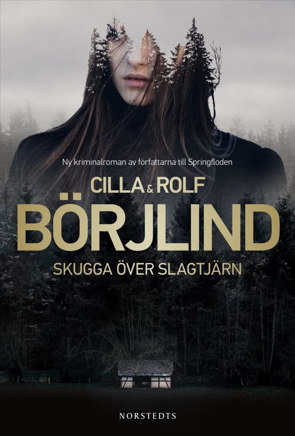 Skugga Över Slagtjärn (Bok)