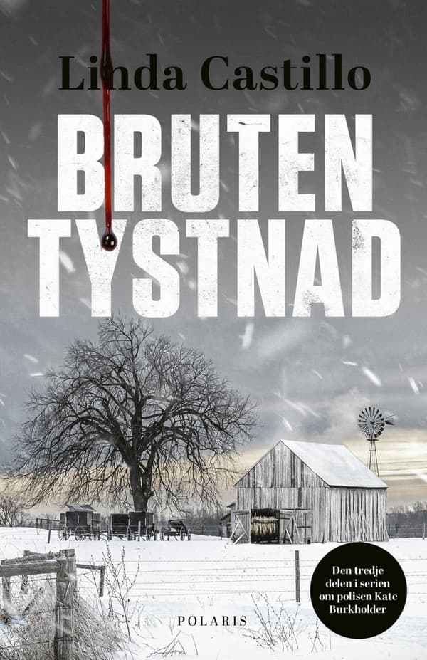 Bruten Tystnad (Bok)