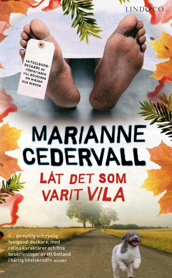 Låt Det Som Varit Vila (Bok)