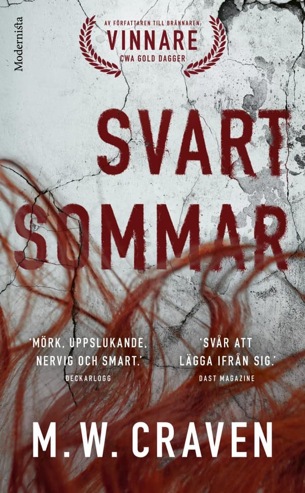 Svart Sommar (Bok)