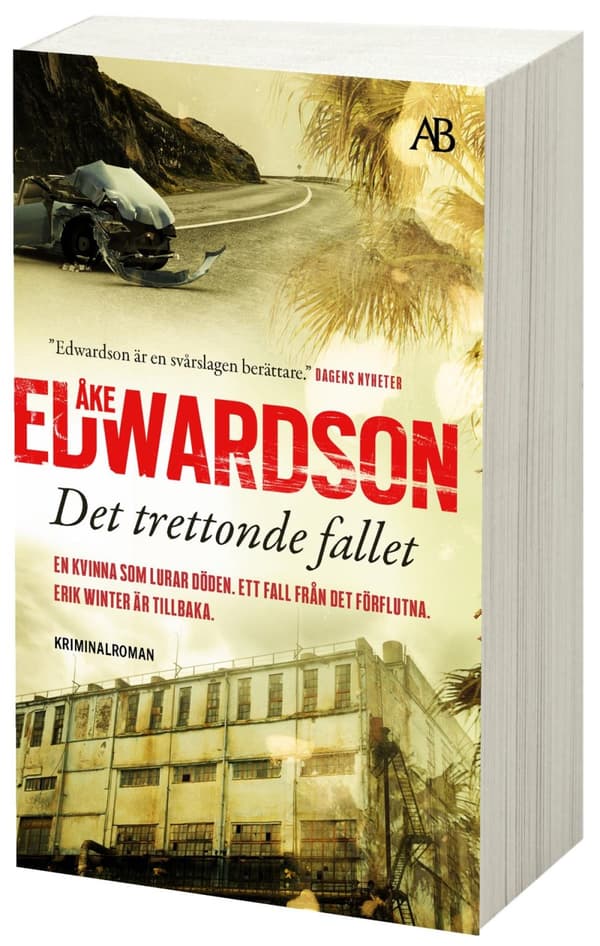 Det Trettonde Fallet (Bok)