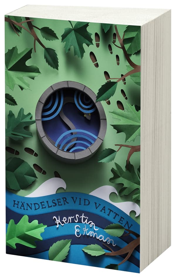 Händelser Vid Vatten (Bok)