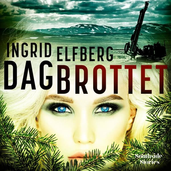 Dagbrottet (Bok)