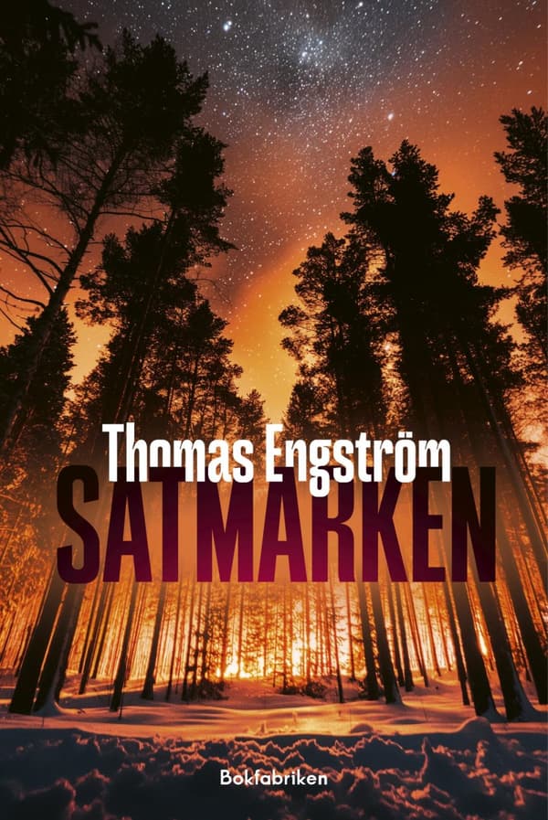Satmarken (Bok)