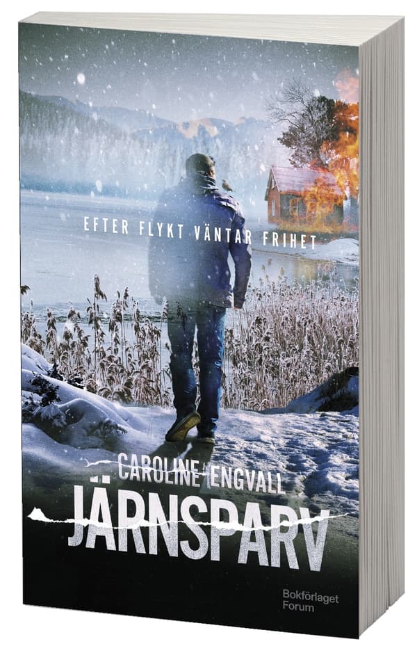Järnsparv (Bok)