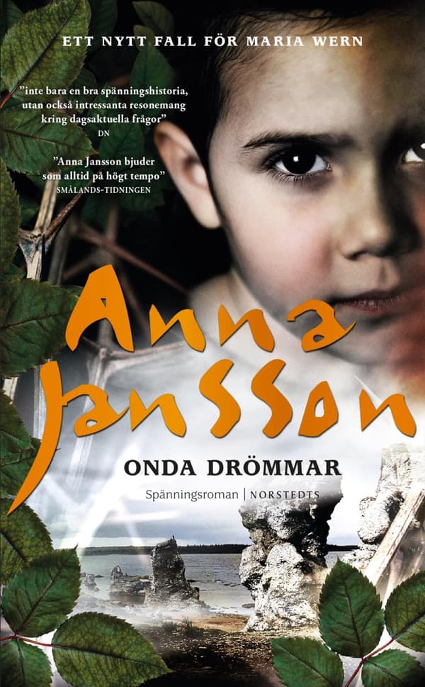 Onda Drömmar (Bok)
