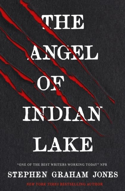 The Angel Of Indian Lake (Bok)