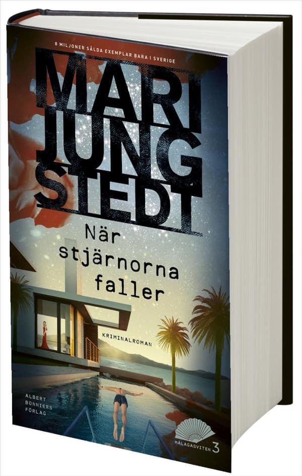 När Stjärnorna Faller (Bok)