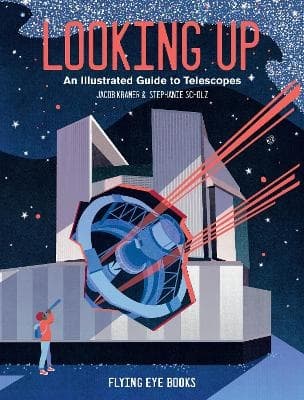 Looking Up (Bok)
