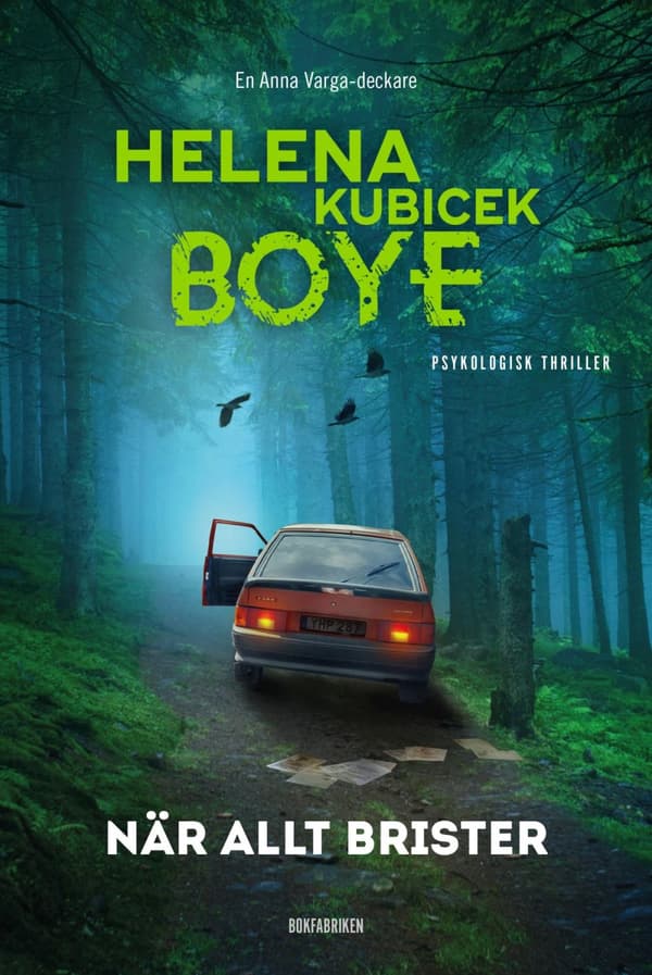 När Allt Brister (Bok)