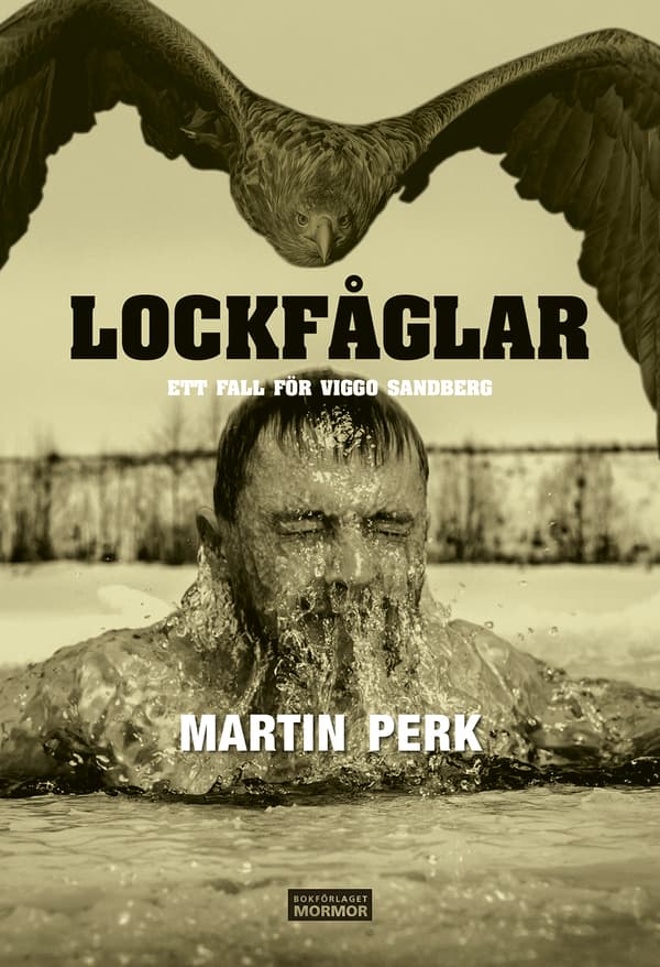 Lockfåglar - Ett Fall För Viggo Sandberg (Bok)