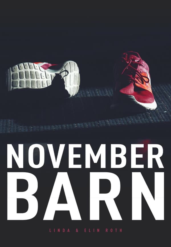 Novemberbarn (Bok)