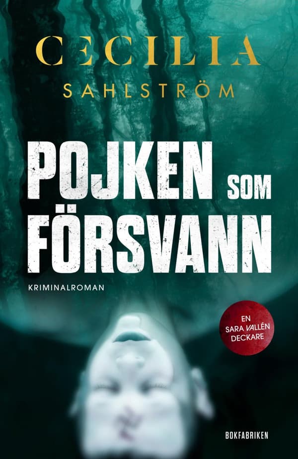 Pojken Som Försvann (Bok)