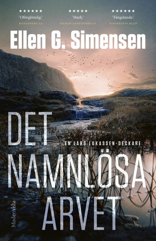 Det Namnlösa Arvet (Bok)