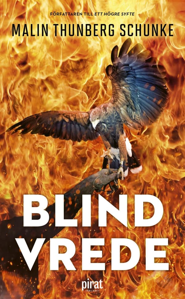 Blind Vrede (Bok)