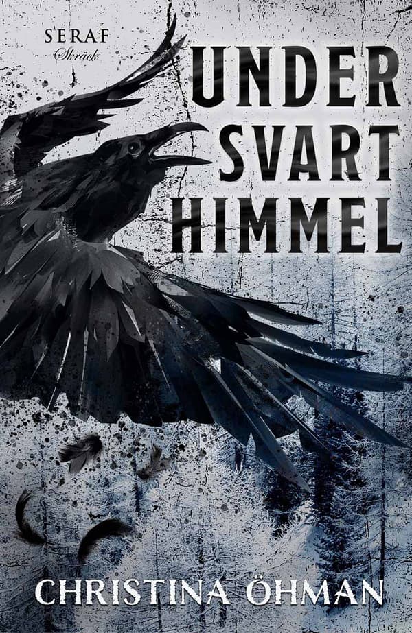 Under Svart Himmel (Bok)