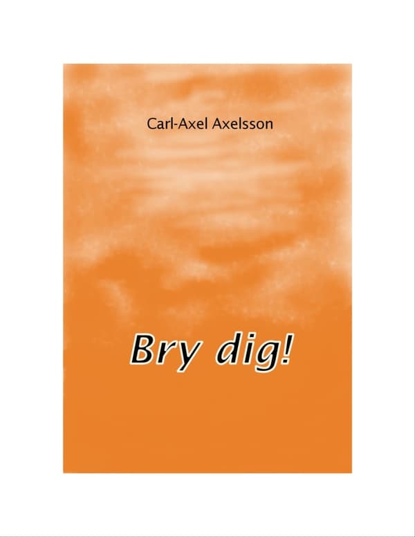 Bry Dig! (Bok)