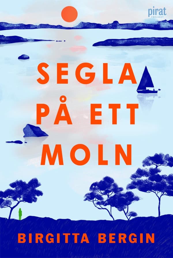 Segla På Ett Moln (Bok)