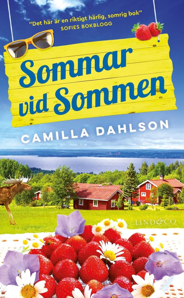 Sommar Vid Sommen (Bok)