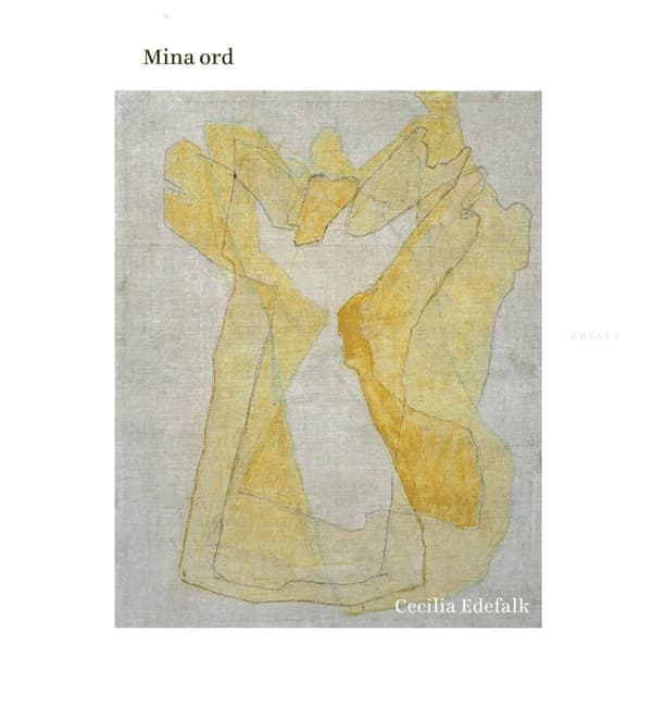 Mina Ord (Bok)