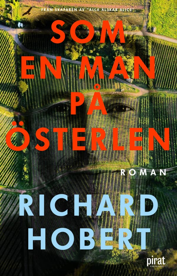 Som En Man På Österlen (Bok)