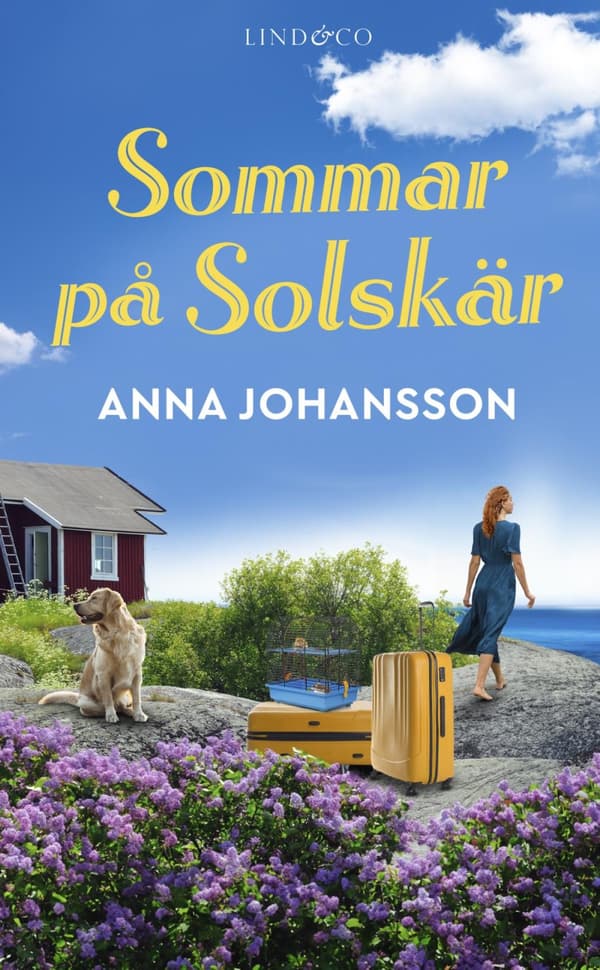 Sommar På Solskär (Bok)