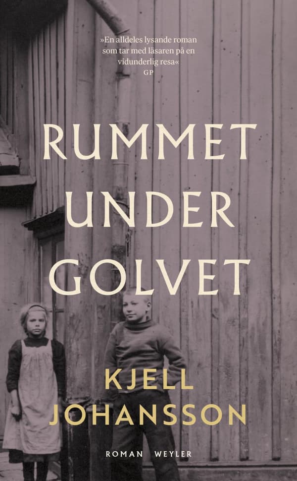 Rummet Under Golvet (Bok)