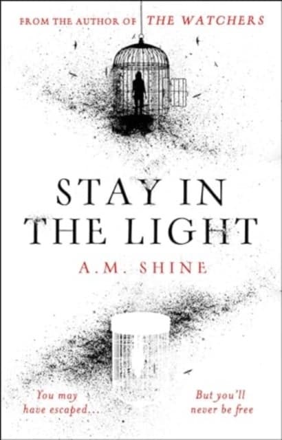 Stay In The Light (Bok)