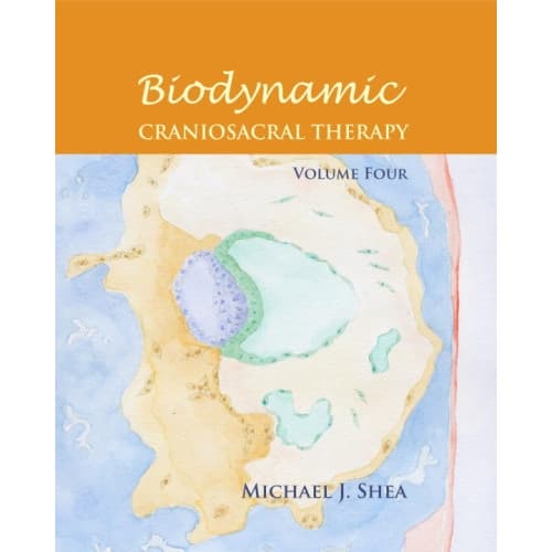 Biodynamic Craniosacral Therapy, Volume Four (pocket, eng)