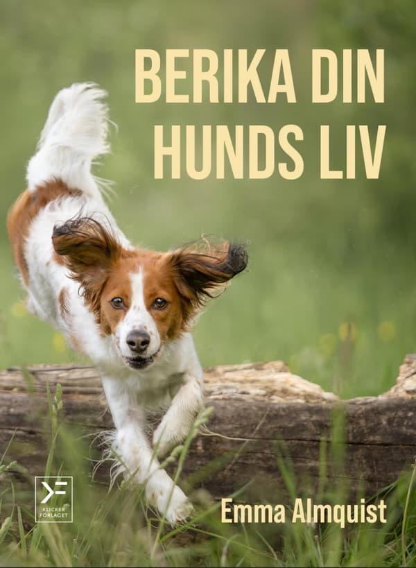 Berika Din Hunds Liv (Bok)