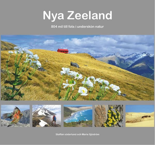 Nya Zeeland - 804 Mil Till Fots I Underskön Natur (Bok)