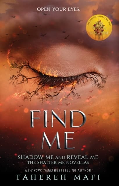 Find Me (Bok)