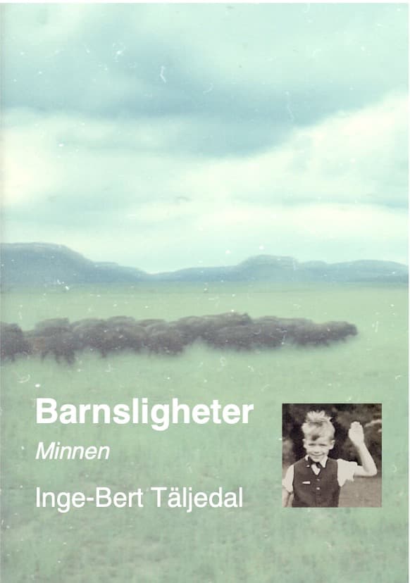 Barnsligheter - Minnen (Bok)