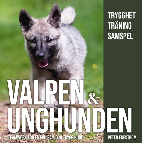 Valpen & Unghunden - Teamwork För En Följsam Och Trygg Hund (Bok)