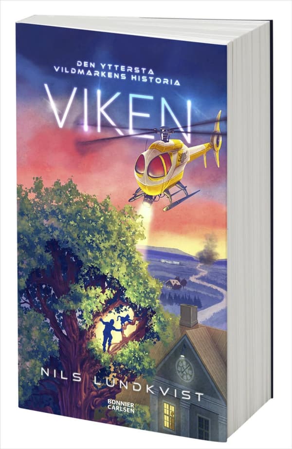 Viken (Bok)