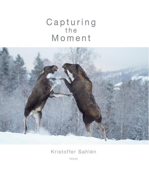 Capturing The Moment (Bok)