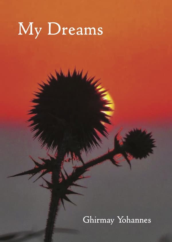 My Dreams (Bok)