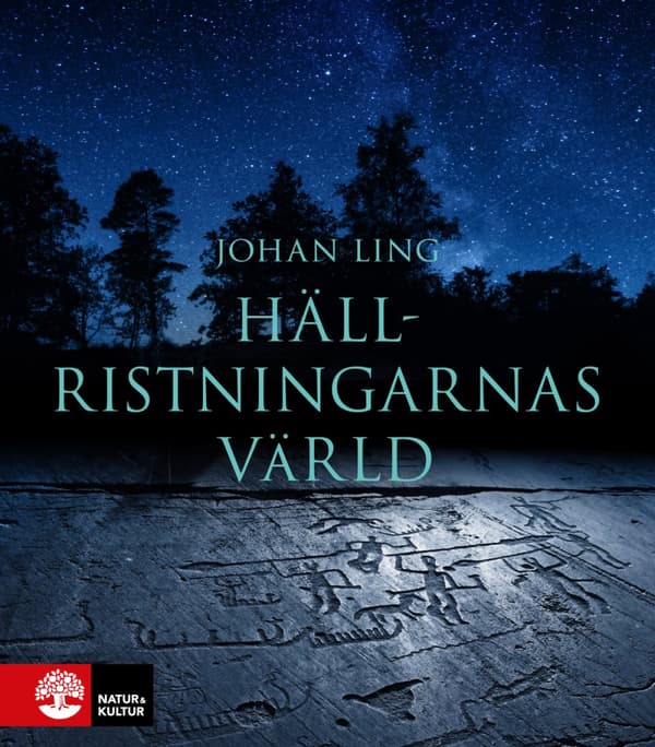 Hällristningarnas Värld (Bok)
