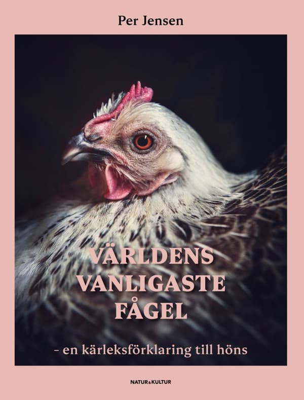 Världens Vanligaste Fågel - En Kärleksförklaring Till Höns (Bok)