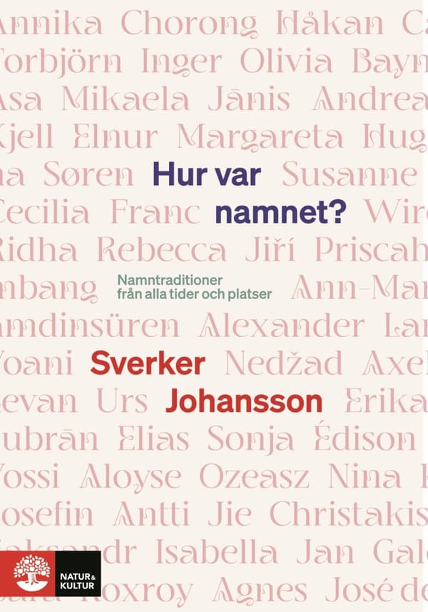 Hur Var Namnet? - Namntraditioner Från Alla Tider Och Platser (Bok)